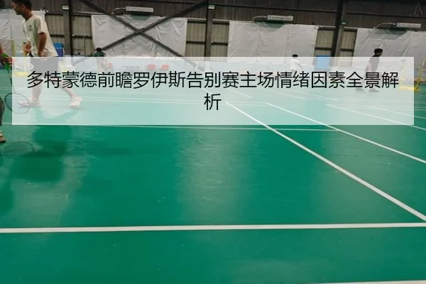 多特蒙德前瞻罗伊斯告别赛主场情绪因素全景解析